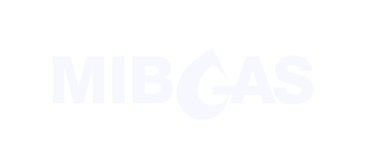 Mibgas logo